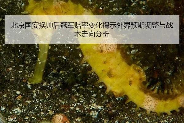 bei-jing-guo-an-huan-shuai-hou-guan-jun-pei-lv-bian-hua-jie-shi-wai-jie-yu-qi-tiao-zheng-yu-zhan-shu-zou-xiang-fen-xi-2-590.jpg